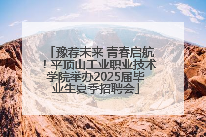 豫荐未来 青春启航！平顶山工业职业技术学院举办2025届毕业生夏季招聘会